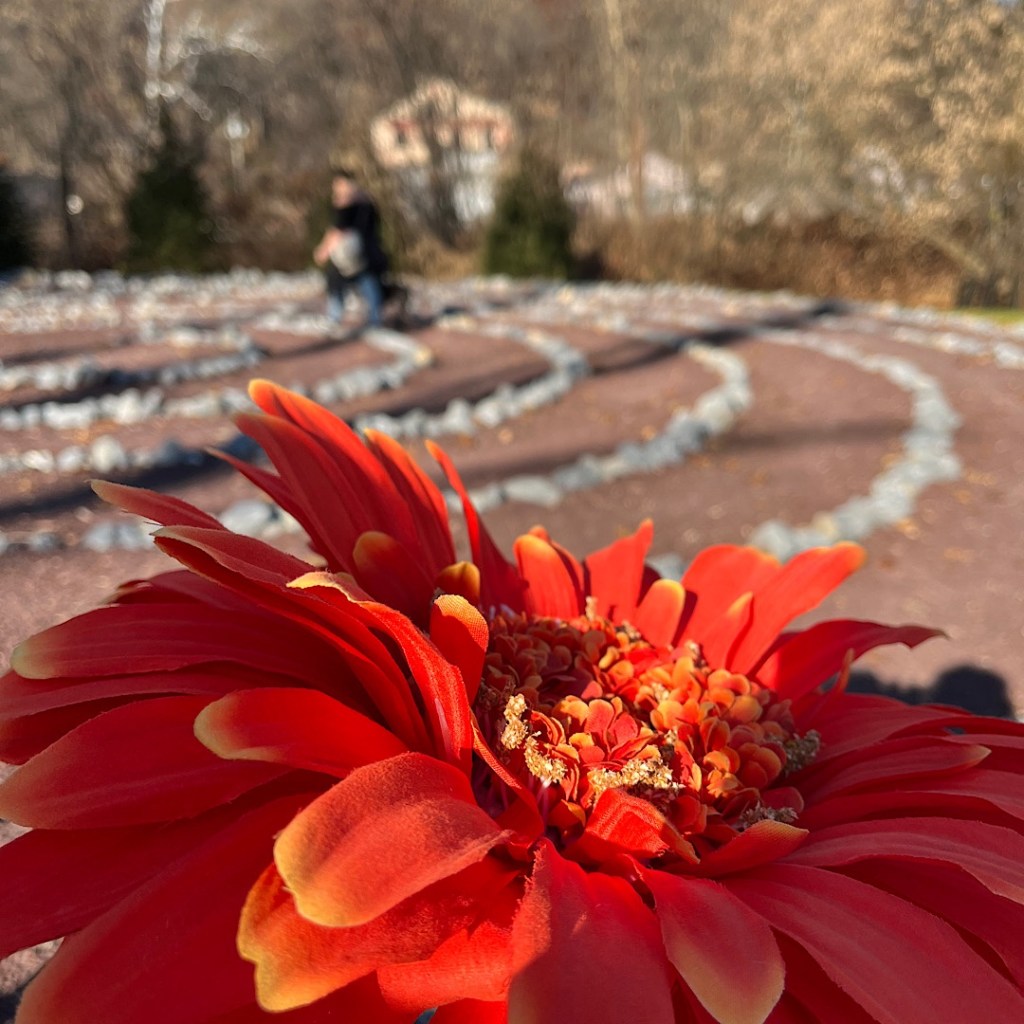 Marginalized Identities, Disability and&nbsp;Vulnerability