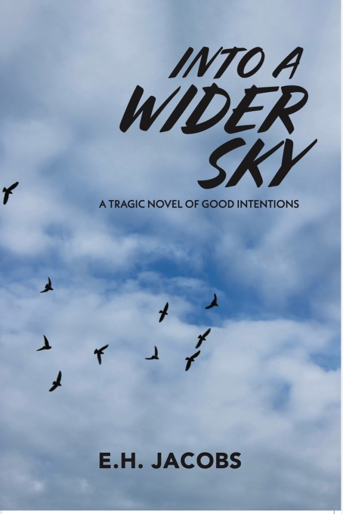 Cover of a novel
